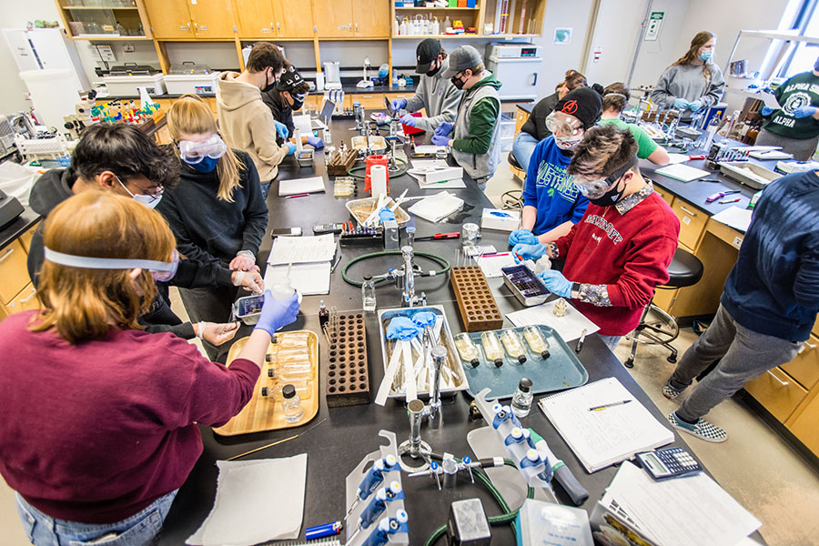 Students participate in an immunology lab this spring at Northwest, where enrollment has reached a new high for a spring semester. (Photo by Todd Weddle/Northwest Missouri State University)
