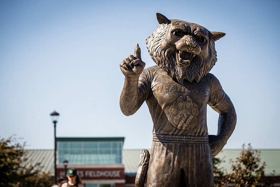 Northwest's new statue depicting Bobby Bearcat stands east of the Carl and Cheryl Hughes Fieldhouse near College Park Drive.