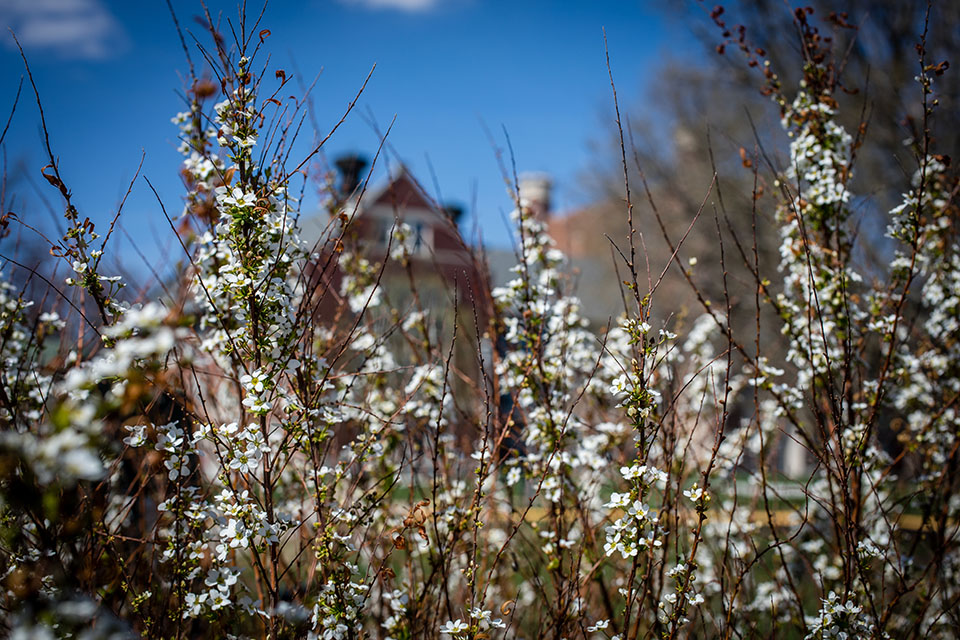 Northwest announces retirements of 7 faculty members