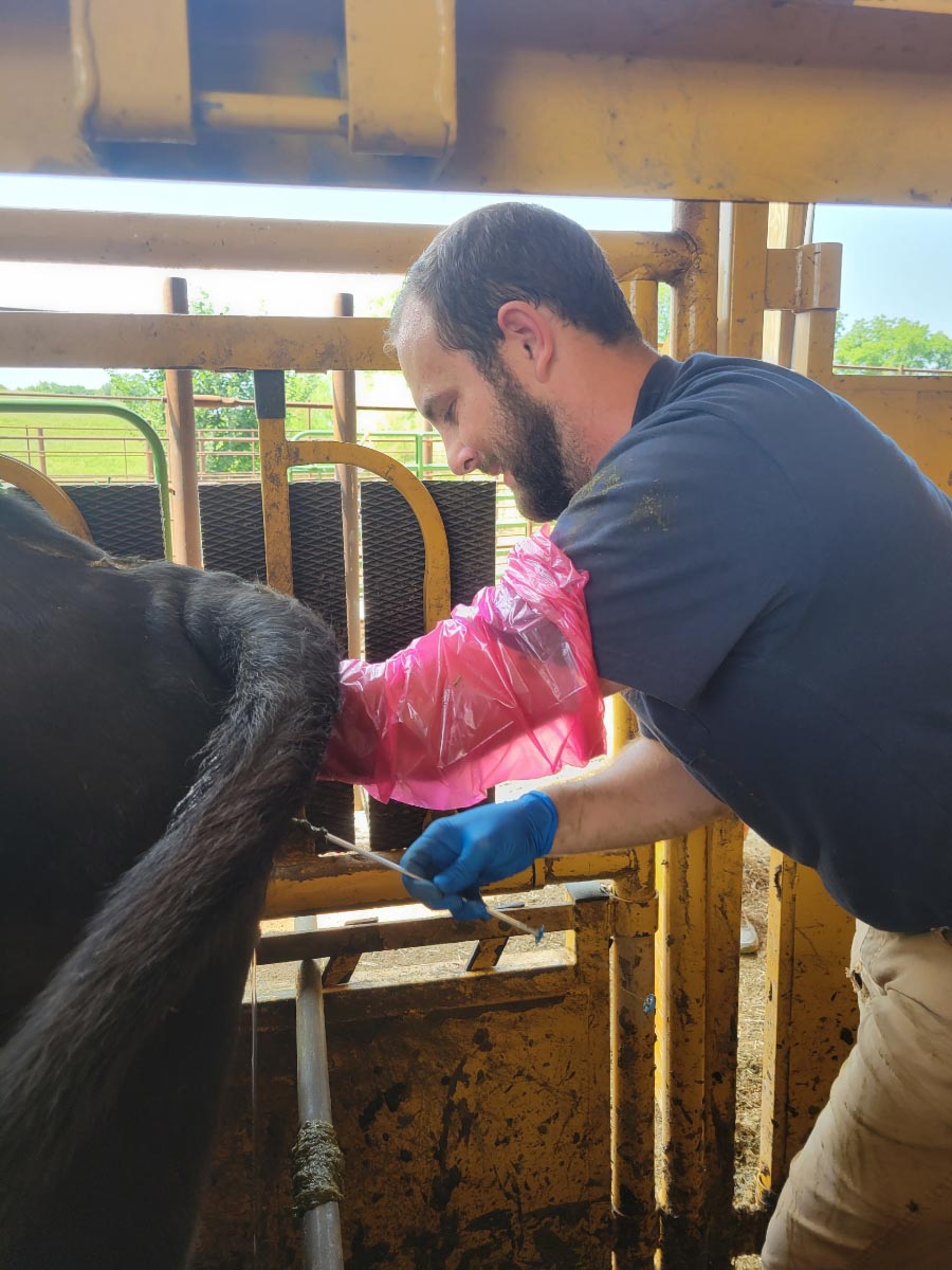 Jackson Routh interned with Select Sires.