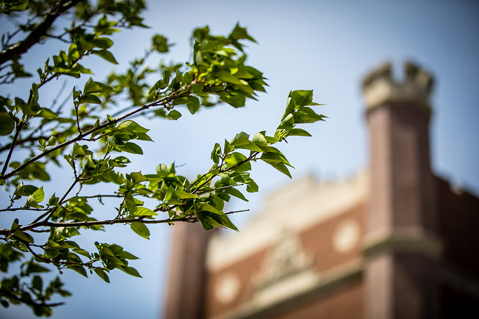 4 honored for excellence in academic affairs at Northwest
