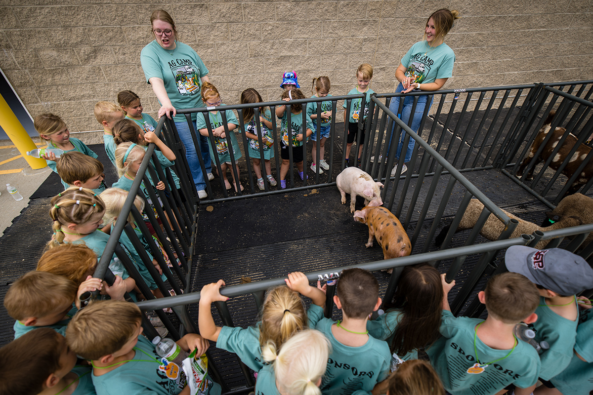 Children gathered around an animal pen with pigs during Thursday's Ag Camp session, led by Northwest agricultural education majors at the Agricultural Learning Center. (Photo By Lilly Cook/Northwest Missouri State University)
