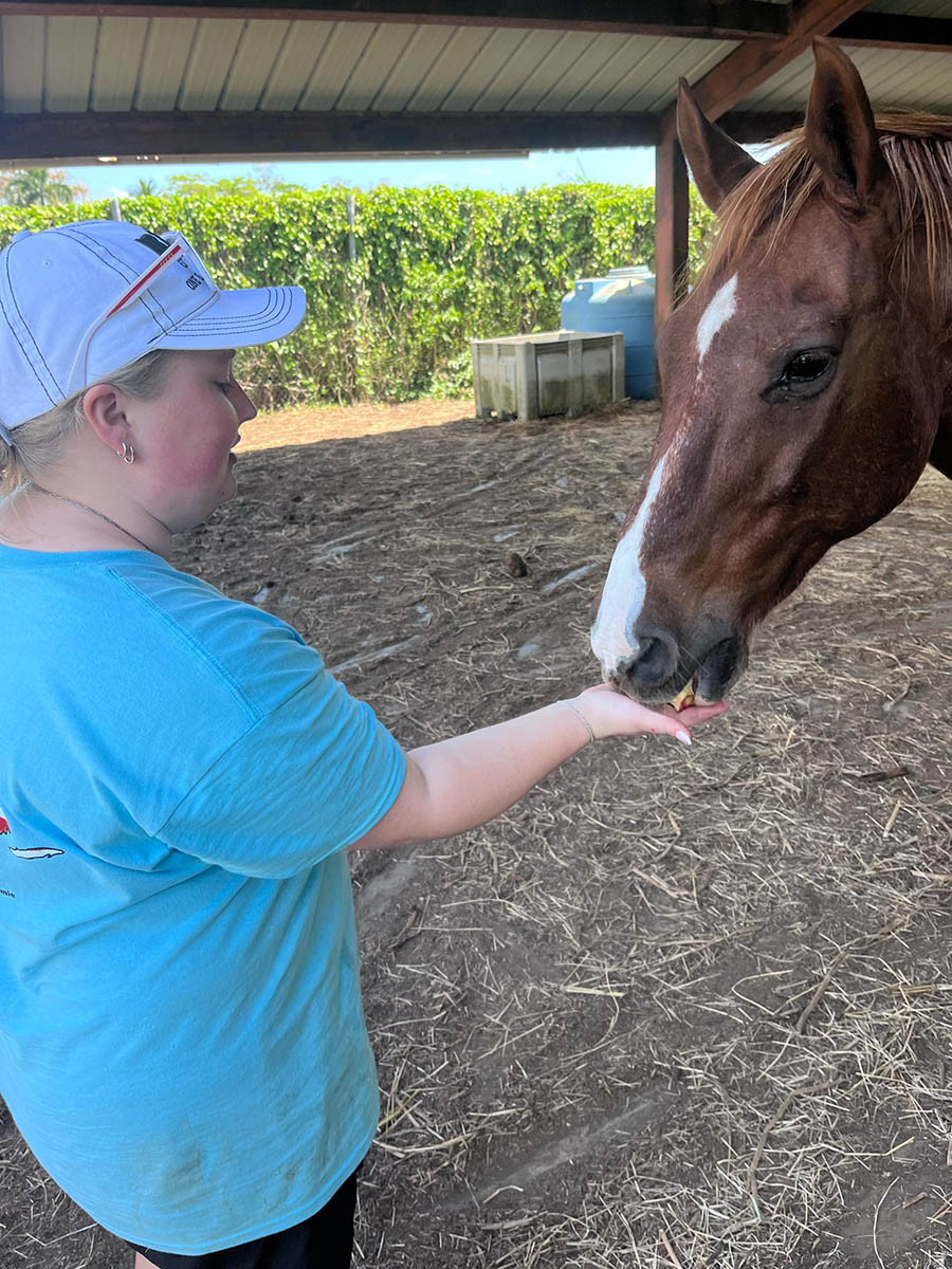 Alternative Spring Break members worked with Community Collaborations International to assist an equine therapy program in Puerto Rico. (Submitted photo)