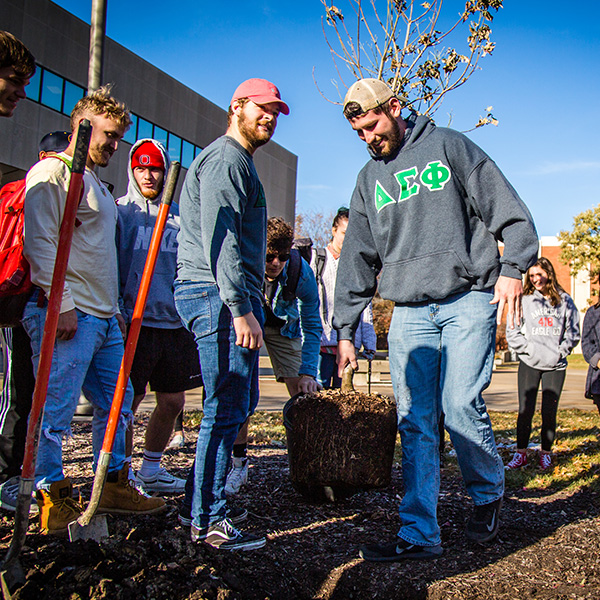 Tree Planting sustainability 