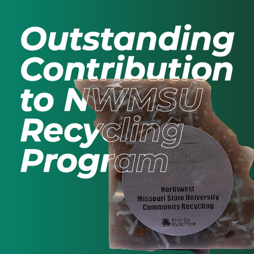 Outstanding Contribution to our Environment