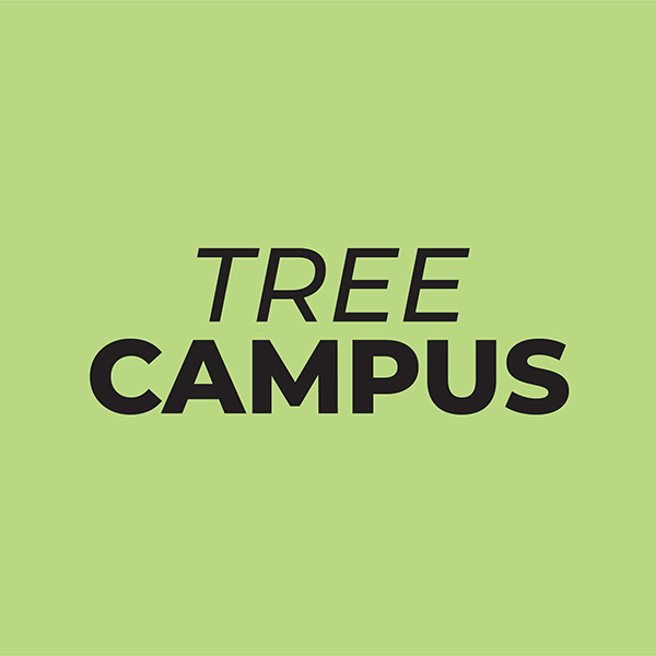 “Tree Campus”