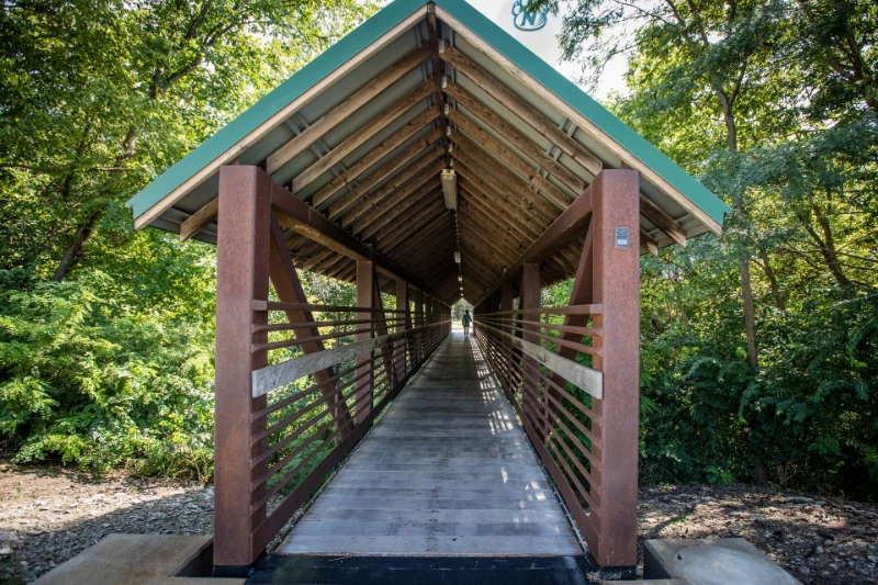 Plan Stage: June 2025 to July 2025