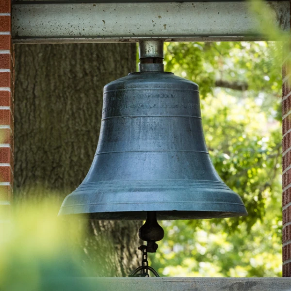 Strategic Alignment and Project Goals 