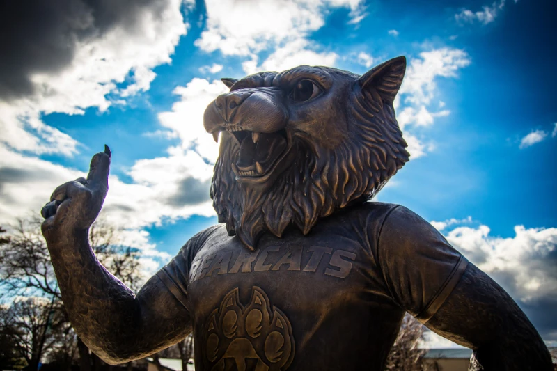 Test: January 2026 - June 2026