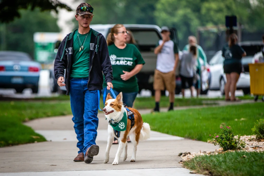 A student walks their service dog on the Northwest campus