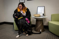 Service Animals