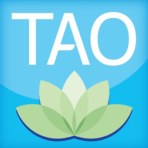 TAO-Therapy Assistance Online