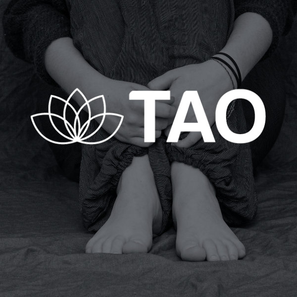 Therapy Assistance Online